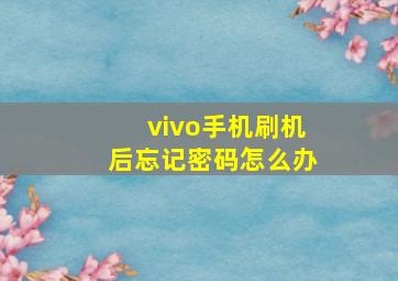 vivo手机刷机后忘记密码怎么办