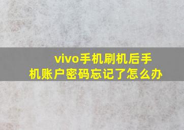 vivo手机刷机后手机账户密码忘记了怎么办