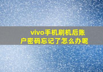 vivo手机刷机后账户密码忘记了怎么办呢