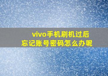 vivo手机刷机过后忘记账号密码怎么办呢