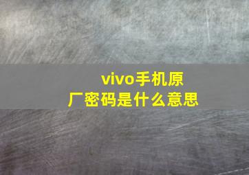 vivo手机原厂密码是什么意思