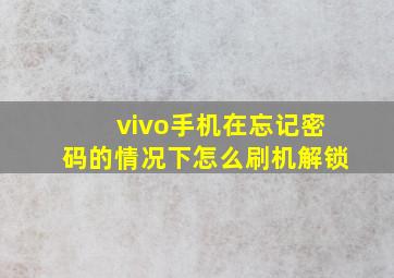 vivo手机在忘记密码的情况下怎么刷机解锁