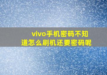 vivo手机密码不知道怎么刷机还要密码呢