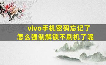 vivo手机密码忘记了怎么强制解锁不刷机了呢