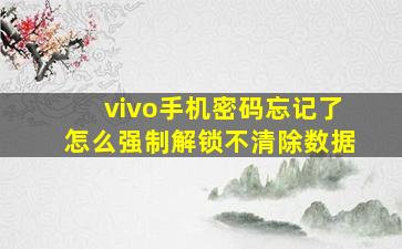 vivo手机密码忘记了怎么强制解锁不清除数据