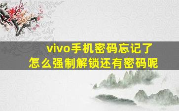 vivo手机密码忘记了怎么强制解锁还有密码呢