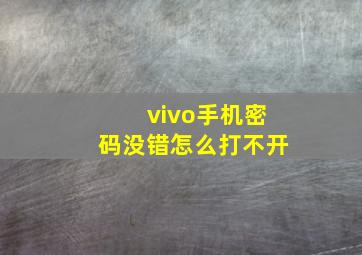 vivo手机密码没错怎么打不开