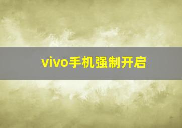 vivo手机强制开启