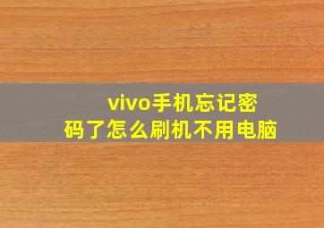 vivo手机忘记密码了怎么刷机不用电脑