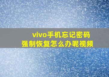 vivo手机忘记密码强制恢复怎么办呢视频