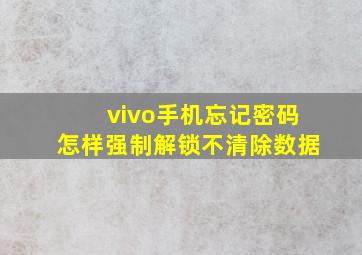 vivo手机忘记密码怎样强制解锁不清除数据