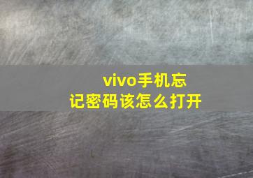 vivo手机忘记密码该怎么打开