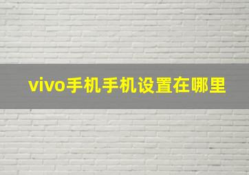 vivo手机手机设置在哪里