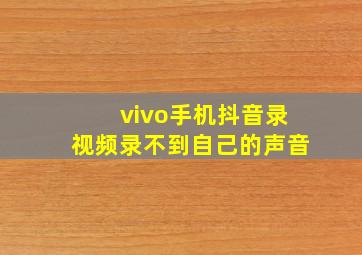 vivo手机抖音录视频录不到自己的声音