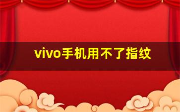 vivo手机用不了指纹