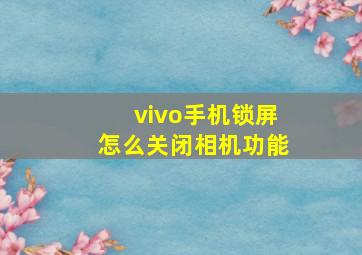 vivo手机锁屏怎么关闭相机功能