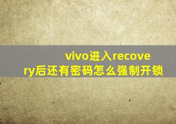 vivo进入recovery后还有密码怎么强制开锁