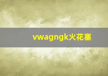 vwagngk火花塞