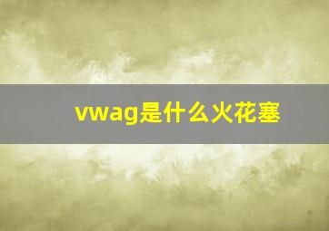 vwag是什么火花塞