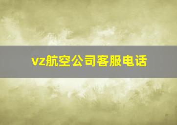 vz航空公司客服电话