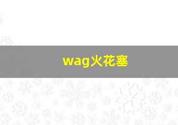 wag火花塞