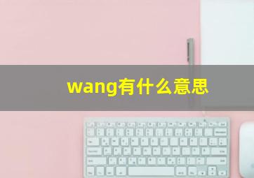 wang有什么意思