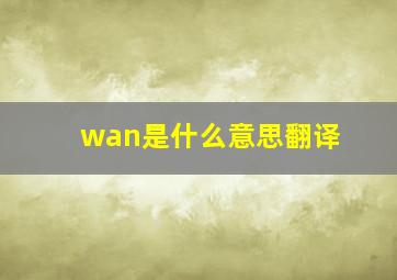 wan是什么意思翻译