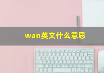 wan英文什么意思