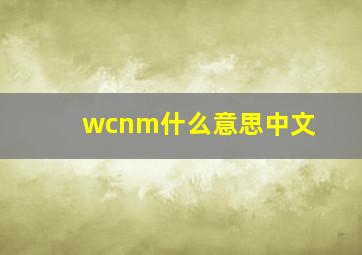 wcnm什么意思中文