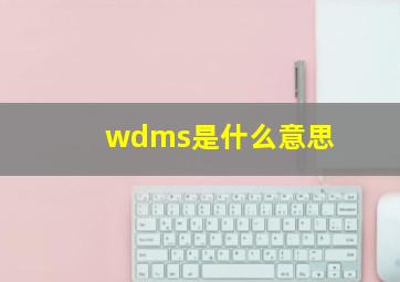 wdms是什么意思