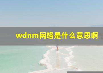 wdnm网络是什么意思啊