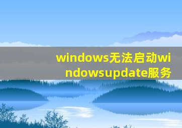 windows无法启动windowsupdate服务