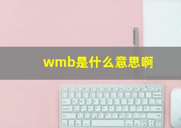 wmb是什么意思啊