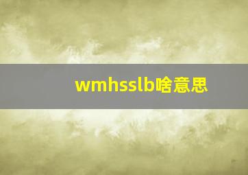 wmhsslb啥意思