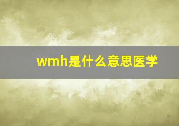 wmh是什么意思医学