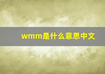 wmm是什么意思中文