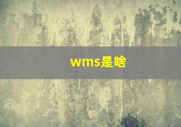 wms是啥