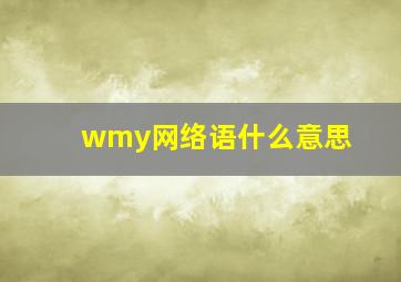 wmy网络语什么意思