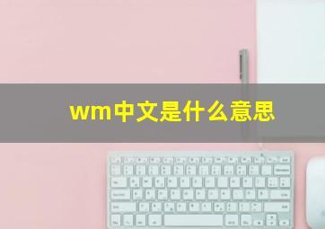 wm中文是什么意思