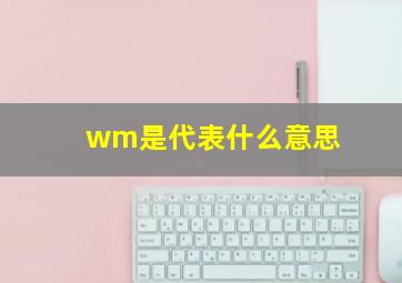 wm是代表什么意思