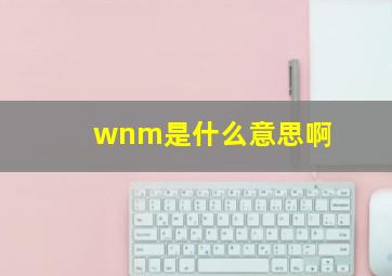 wnm是什么意思啊