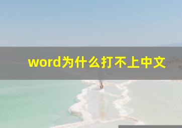 word为什么打不上中文