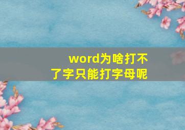 word为啥打不了字只能打字母呢