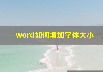 word如何增加字体大小