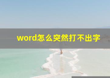 word怎么突然打不出字