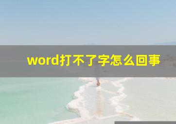 word打不了字怎么回事