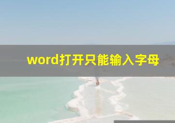 word打开只能输入字母