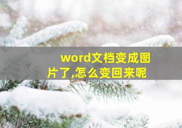 word文档变成图片了,怎么变回来呢