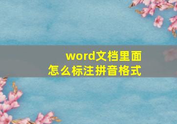 word文档里面怎么标注拼音格式