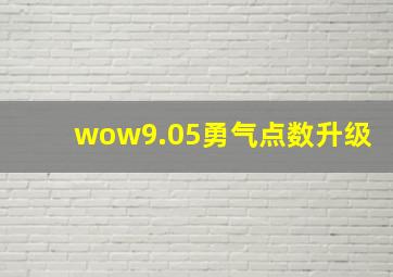 wow9.05勇气点数升级